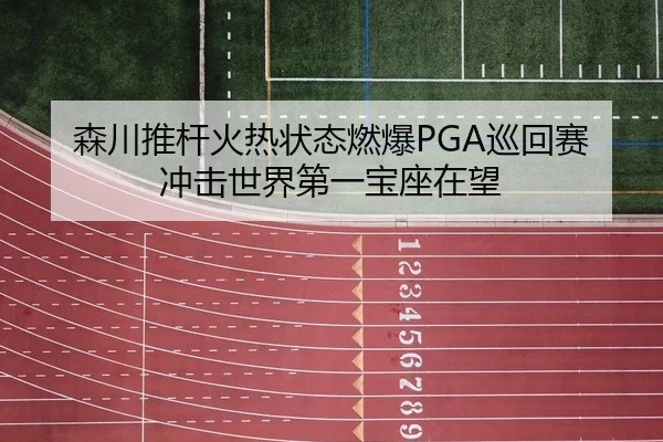 森川推杆火热状态燃爆PGA巡回赛 冲击世界第一宝座在望